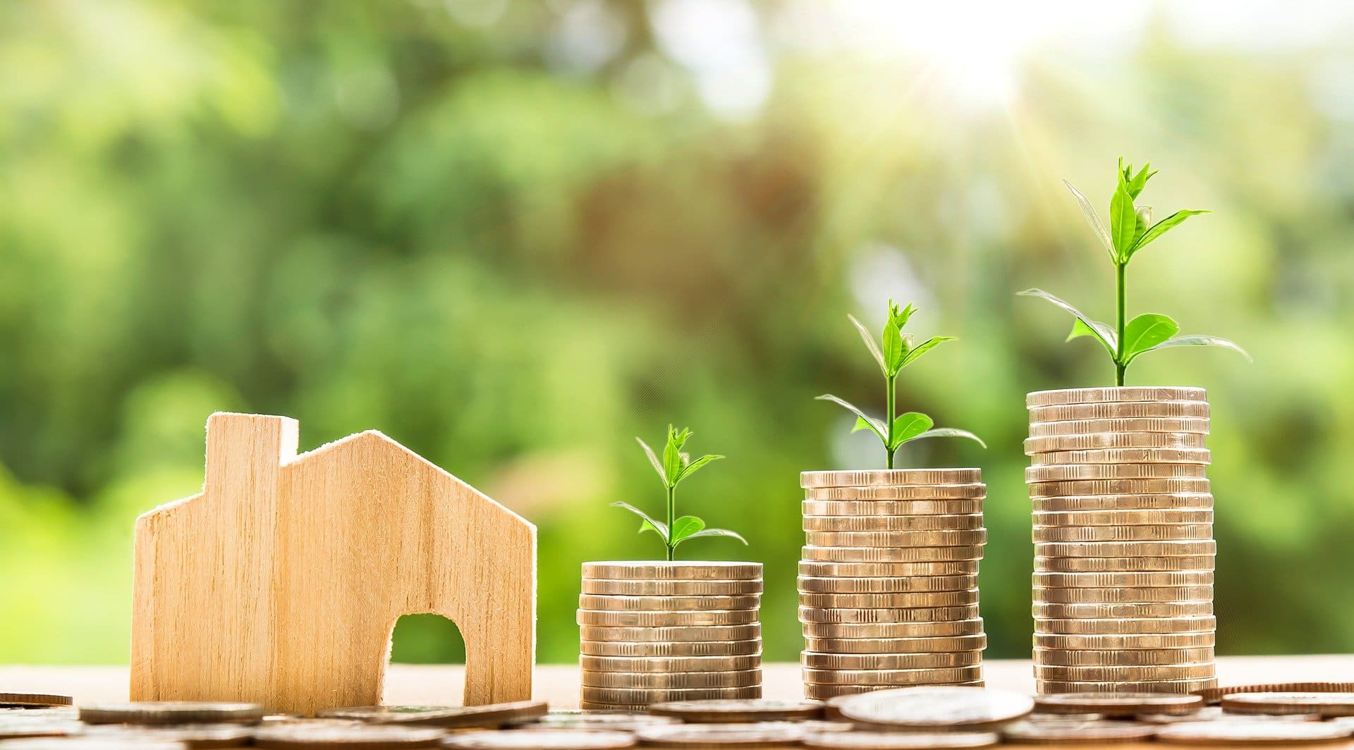 money-2724235_1920-Pixabay money-2724235_1920-Pixabay
